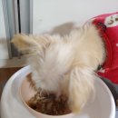 달이네집 이미지