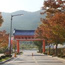 국학원[동] 티스토리