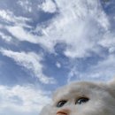 론론 | 아주 귀여운 론론 베티붑 옷 후기