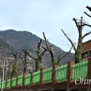 성산구 ⓒ-31 이미지