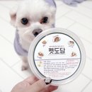 펫도담 이미지