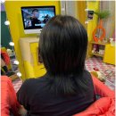 단다두리헤어 이미지