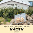 발산농장 | 제주 애월 가볼만한곳 제주 쿠킹 클래스 만들기 체험 탐나는농장