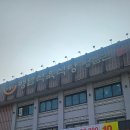 영남식육식당 | 동래 점심에 제대로 놀란 날/ 영남식육식당 본점직영점 후기