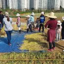 함줄공원 이미지