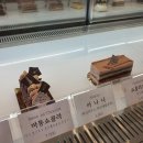 파린두스 이미지
