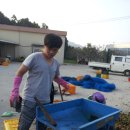 천식농장 이미지