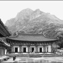 농약방김씨 이미지