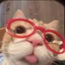 아트리 이미지