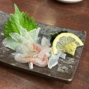 명천하커피숍 | [사가여행] 사가역 맛집 모음 / 라라라 라멘, 도토루 커피숍, 사가역 오징어회 이자카야