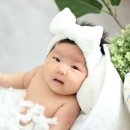 생후 50일 촬영 후기 가격 내돈내산