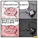 차비누 이미지