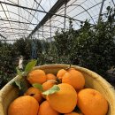 대은농장 이미지