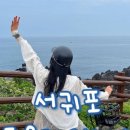 논짓물 횟집 네이버블로그