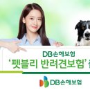 DB손보, 펫보험 출시…의료비 최고 연간 2천만원까지 보장 이미지