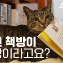 동네커피책방 네이버블로그