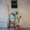 스윗투쓰 | 대구카페 | 스윗투쓰