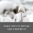 비상청춘
