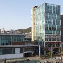 태미안 치과의원 Daum카페