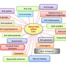 일산365온의원 이미지