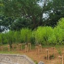 한국도로공사경북지역본부 이미지