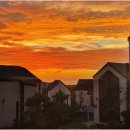 엄블라비안 이미지