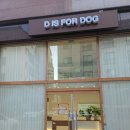 디이즈포독 이미지