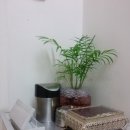 효진동물병원 이미지