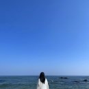 정동진대대