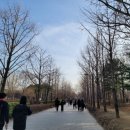 성수동커피 이미지