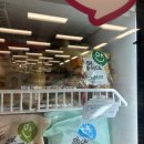 이마트 계양점 | 이마트 계양점 ok 프라이스 타코야끼 솔직후기 + 이마트 가쓰오부시 가격 후기