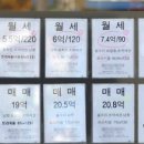 부동산뉴스공인중개사사무소 이미지