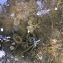 대장나무숲놀이터 이미지