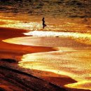 캘리포니아 이미지