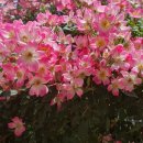 점촌중학교 이미지