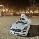 멍그라운드 이미지