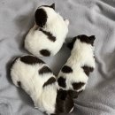 삼앤코 네이버블로그