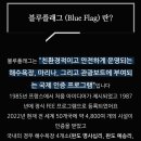 강산1호낚시 | [남도여행] 완도군 명사십리해수욕장 & 캠핑장, 여름휴가 추천명소 남해바다(1)