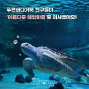 코엑스아쿠아리움 이미지