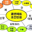 콜렌60도 이미지