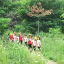 석성숲 유치원 네이버블로그