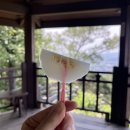 중앙로346번길 | [장소] 경기광주_경기도 광주 칠사산 등산 후기 🥾