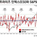 서프라이즈 시티 이미지