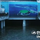 태풍 &#39;다나스&#39; 기록적인 폭우 쏟아부고 제주 통과 이미지