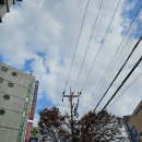 e조은약국 이미지