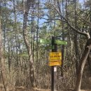 부산가톨릭대학교 이미지