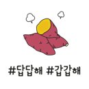 인제주코티지 이미지