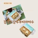 두부네 애견카페 | 강릉 여행코스 두티 애견동반카페 초당두부티라미수 먹고 감탄한 후기