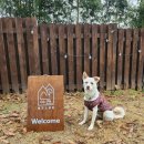 산아래스테이 이미지