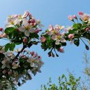 희망대공원 이미지